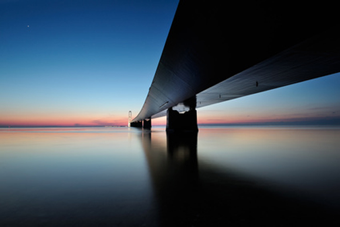 La fondation Rainbow Bridge